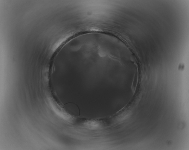 X0000114180299200910081505