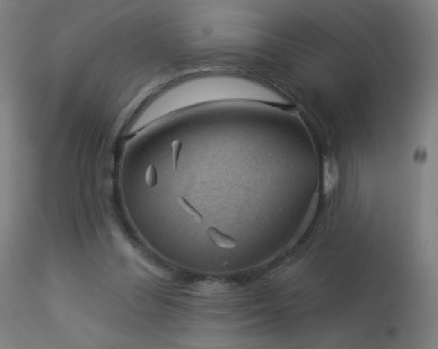 X0000114180300200910081505