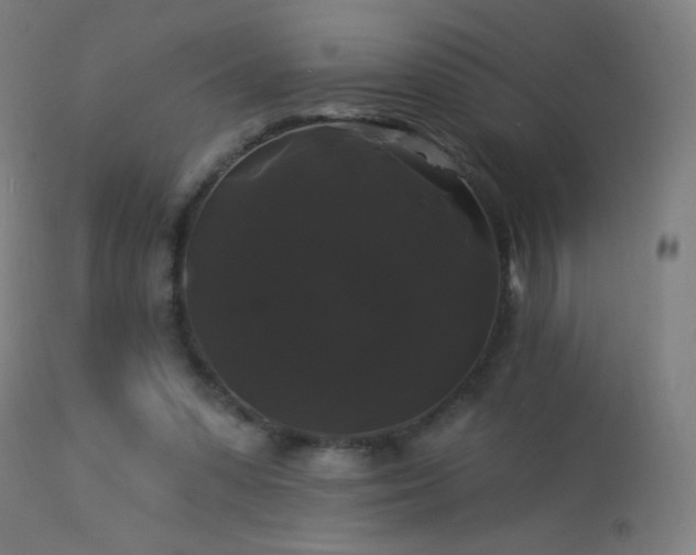 X0000114180303200910081505
