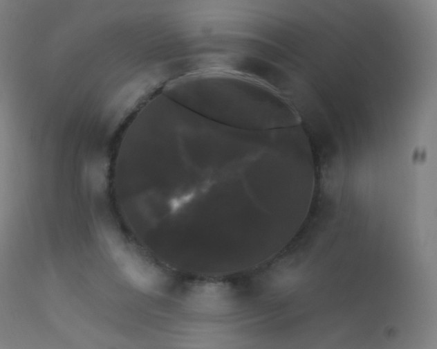 X0000114180304200910081505