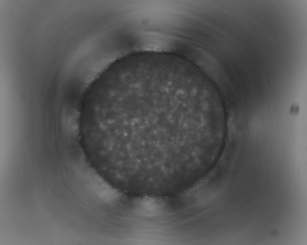 X0000114180305200910081505