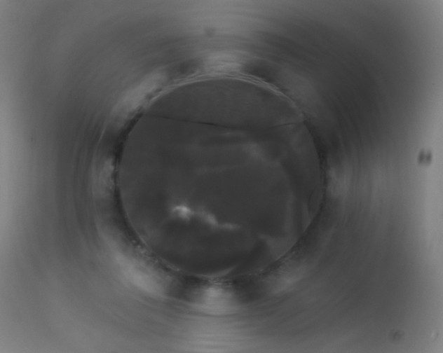 X0000114180308200910081505