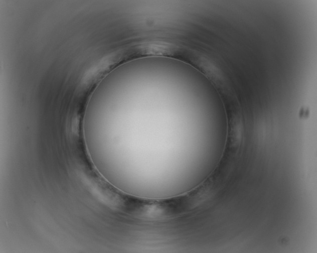 X0000114180310200910081505