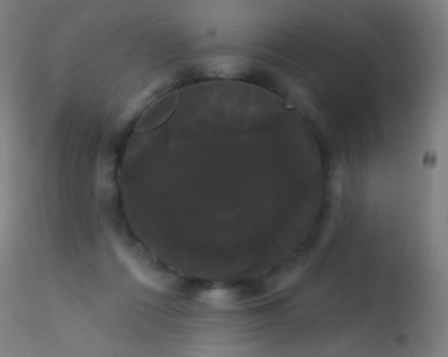 X0000114180312200910081505