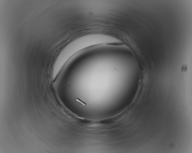 X0000114180313200910081505
