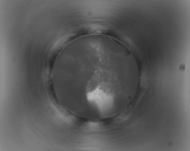 X0000114180314200910081505