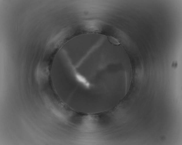X0000114180320200910081505
