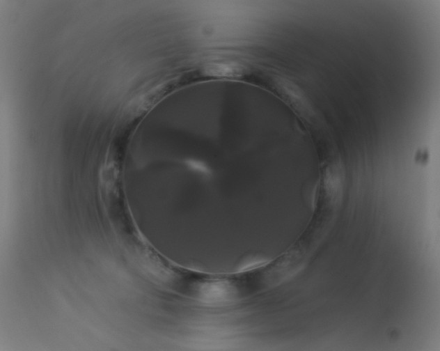 X0000114180322200910081505