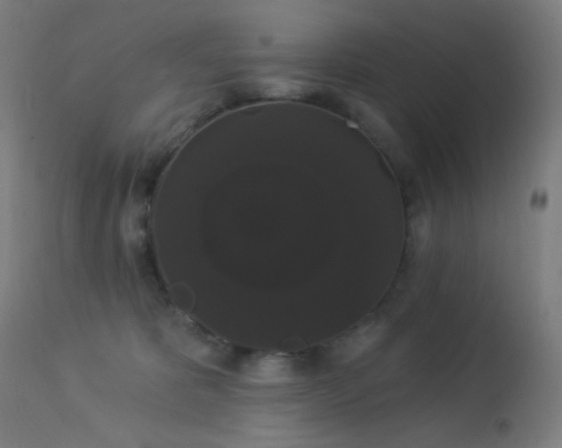 X0000114180325200910081505