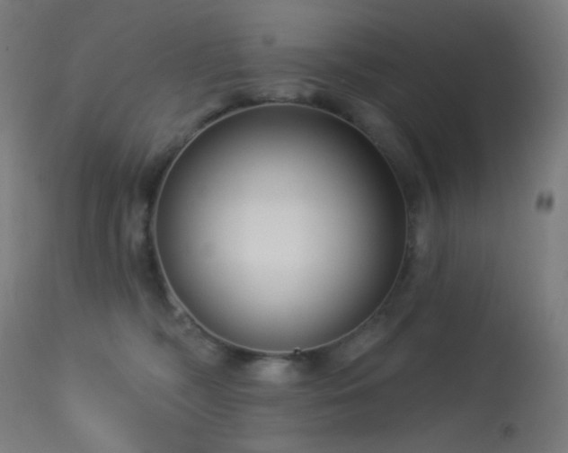 X0000114180326200910081505