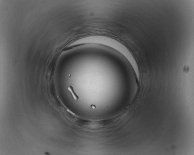 X0000114180327200910081505