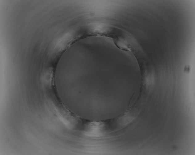 X0000114180328200910081505