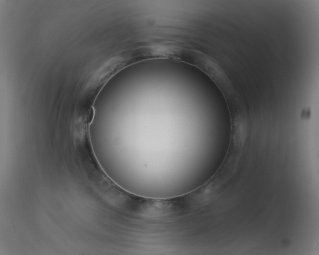 X0000114180329200910081505