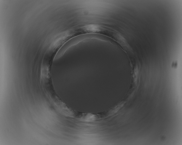 X0000114180330200910081505