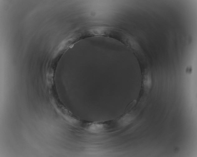 X0000114180332200910081505