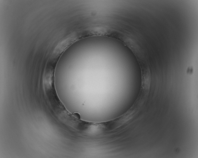 X0000114180334200910081505