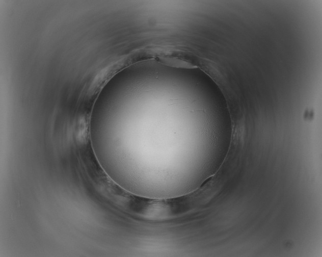 X0000114180335200910081505