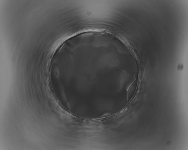 X0000114180337200910081504