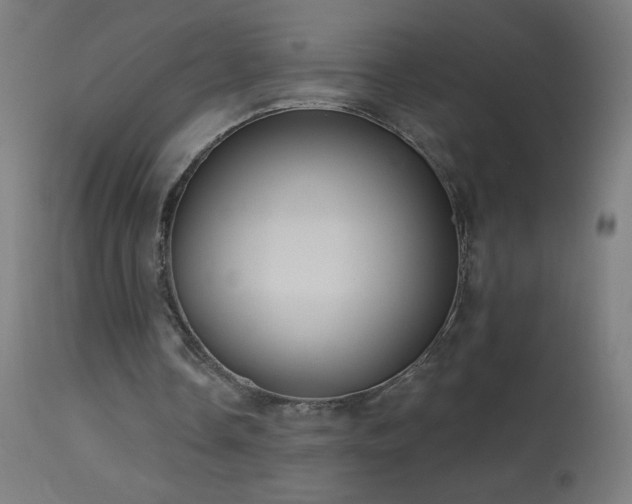 X0000114180338200910081504