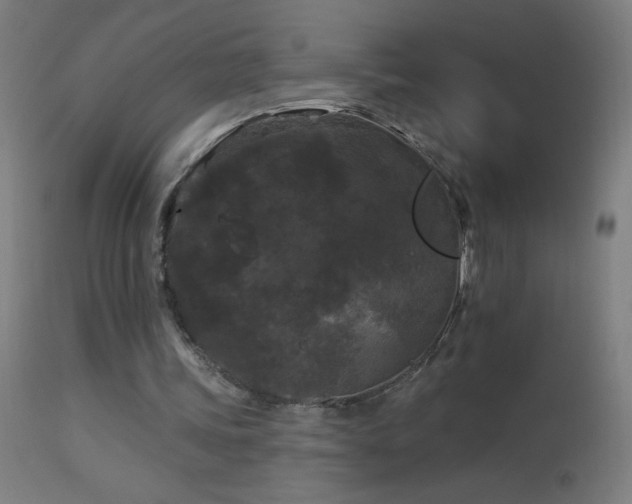 X0000114180339200910081504