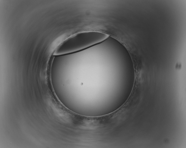 X0000114180340200910081504