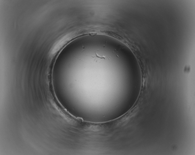 X0000114180341200910081504