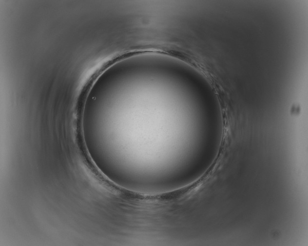 X0000114180342200910081504