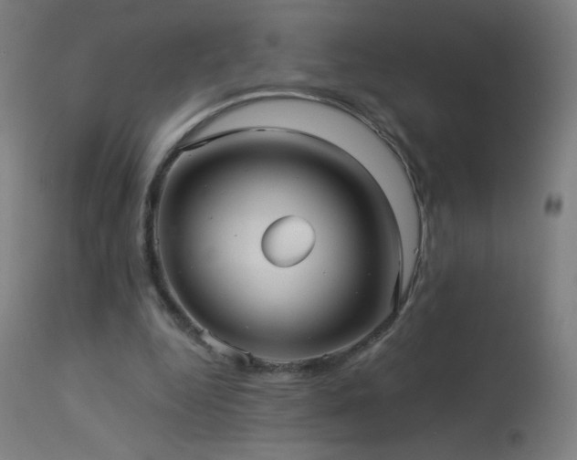 X0000114180344200910081504