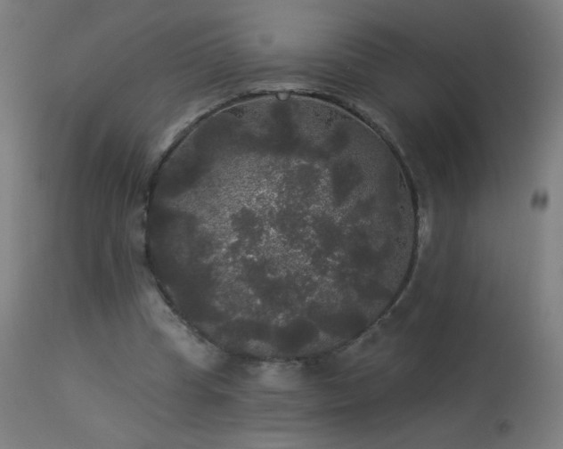 X0000114180345200910081504