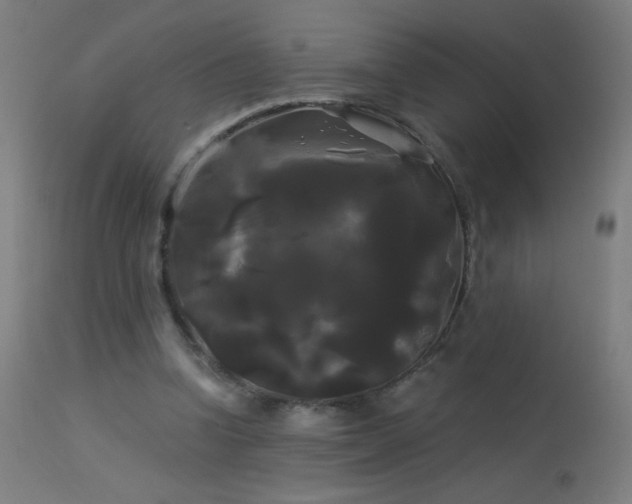 X0000114180346200910081504