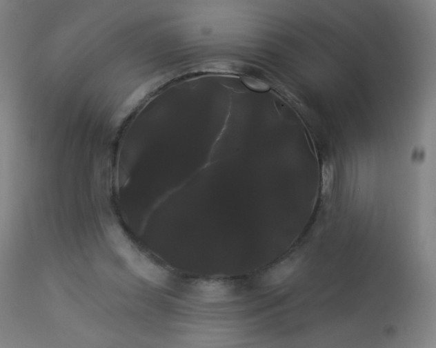 X0000114180349200910081504