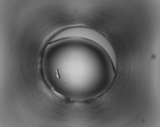X0000114180350200910081504