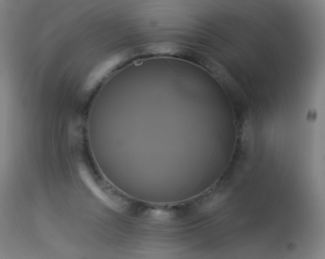 X0000114180352200910081504