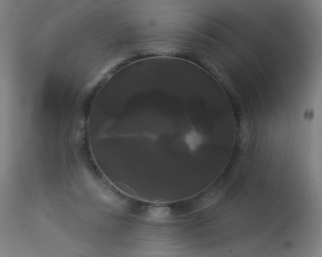 X0000114180355200910081504