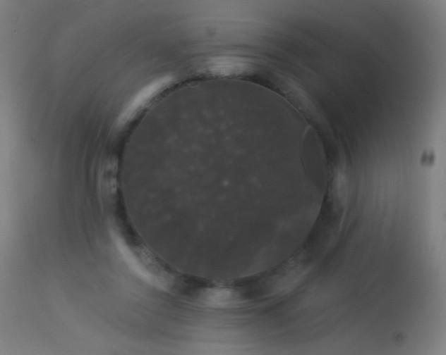 X0000114180356200910081504