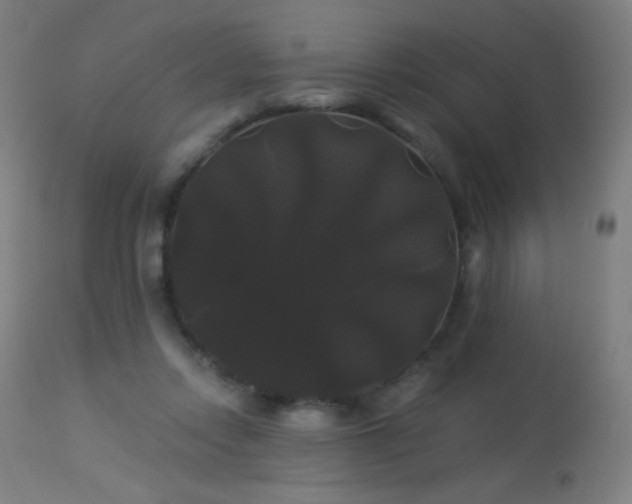 X0000114180358200910081504