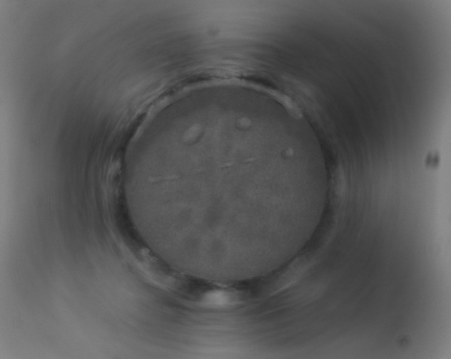 X0000114180364200910081504