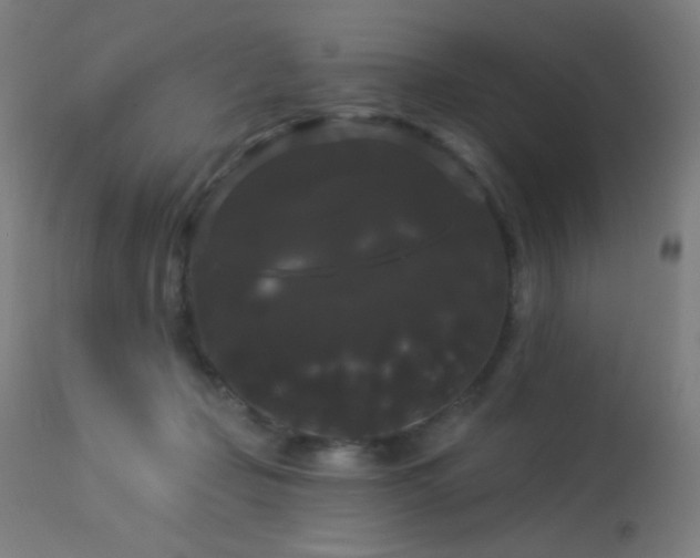 X0000114180365200910081504
