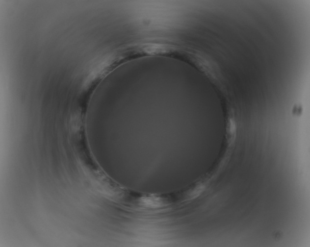 X0000114180367200910081504