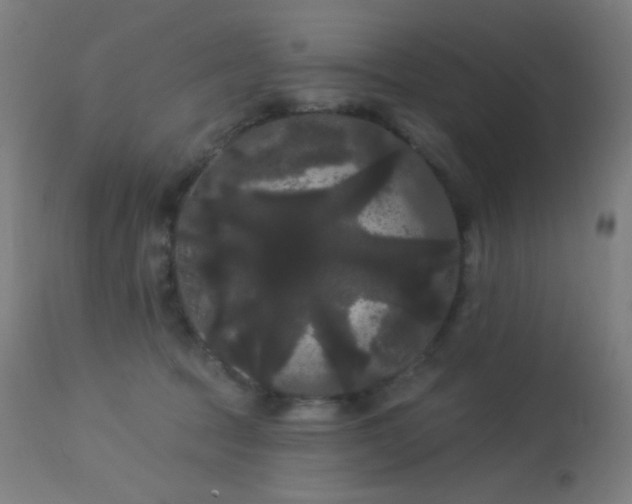 X0000114180369200910081505