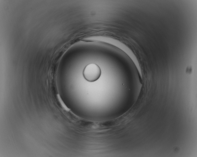 X0000114180372200910081505