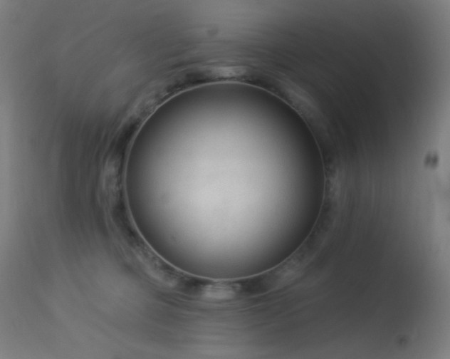X0000114180373200910081505