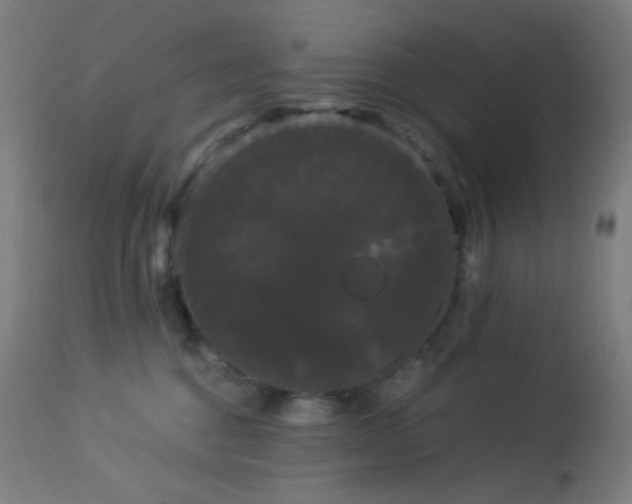 X0000114180376200910081505