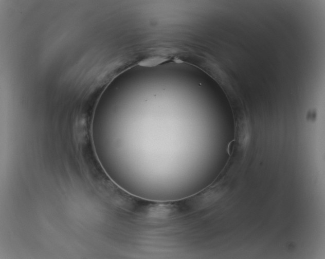 X0000114180378200910081505