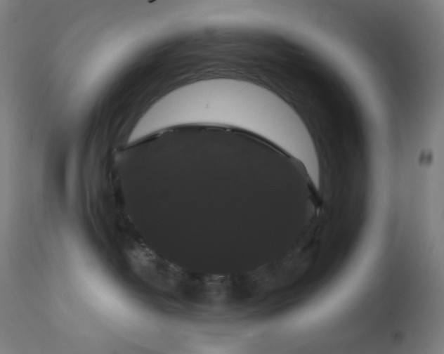 X0000114180382200910081505