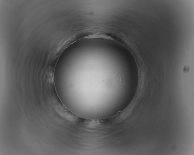 X0000114180384200910081505