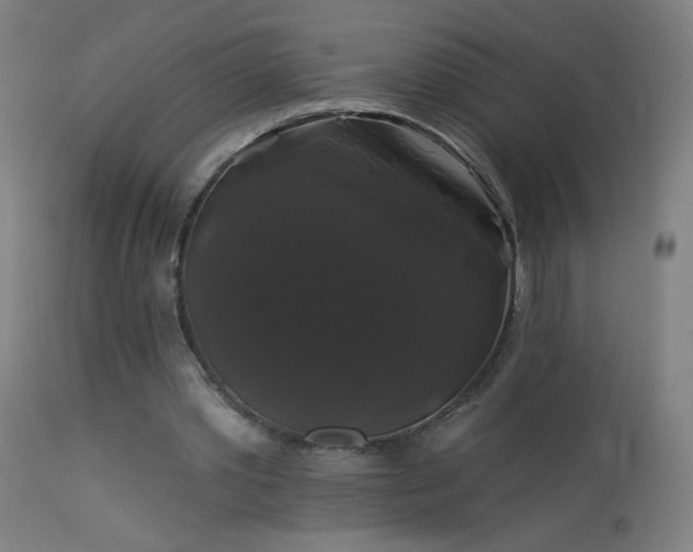 X0000114180389200910081504