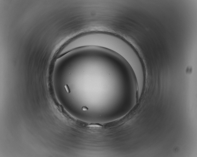 X0000114180391200910081504