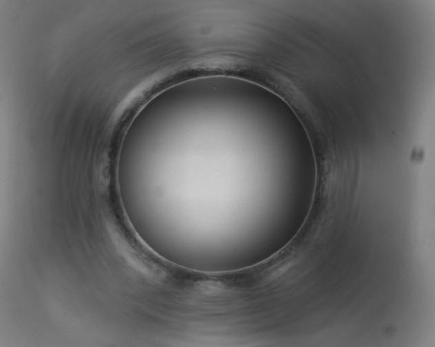 X0000114180392200910081504