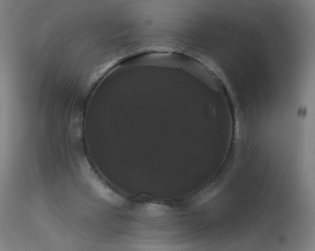X0000114180393200910081504